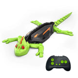 Remote-controlled game