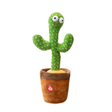 Cactus dansant