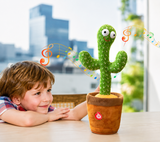 Cactus dansant