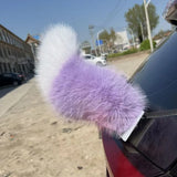 Car decorative tail