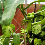 Support de plante
